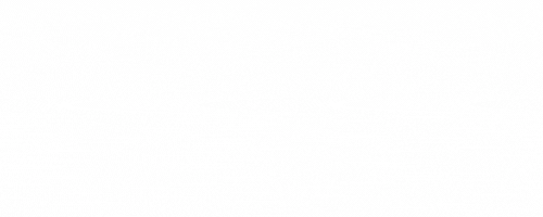 Nearpeer partners gif March 2026.3